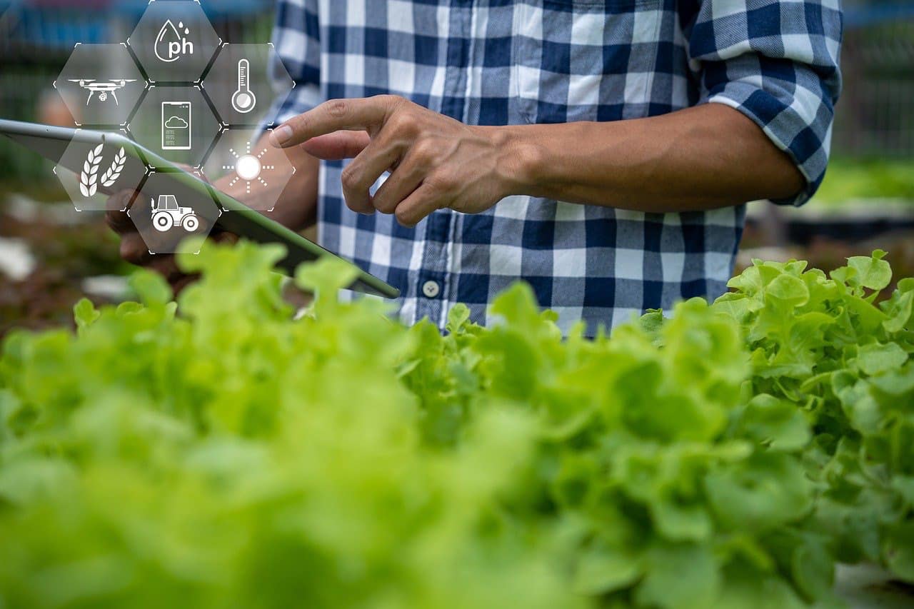 Digital Divide in Agriculture