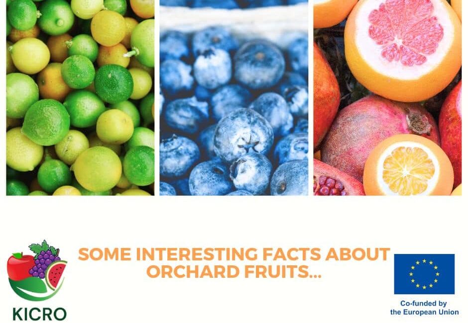 Some interesting facts about orchard fruits