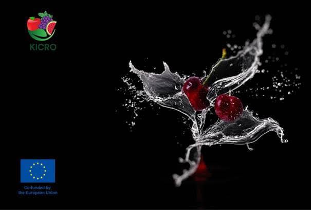 Identifying Fruit Diseases: A Key to Sustainable Food Safety in Europe