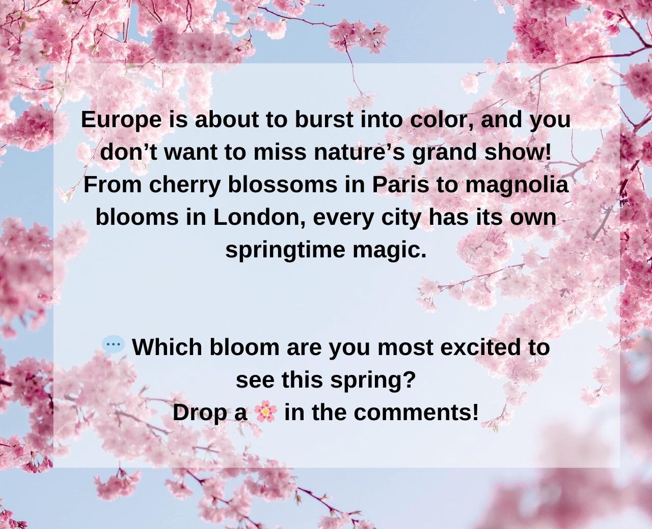 Spring Awakens Across Europe!