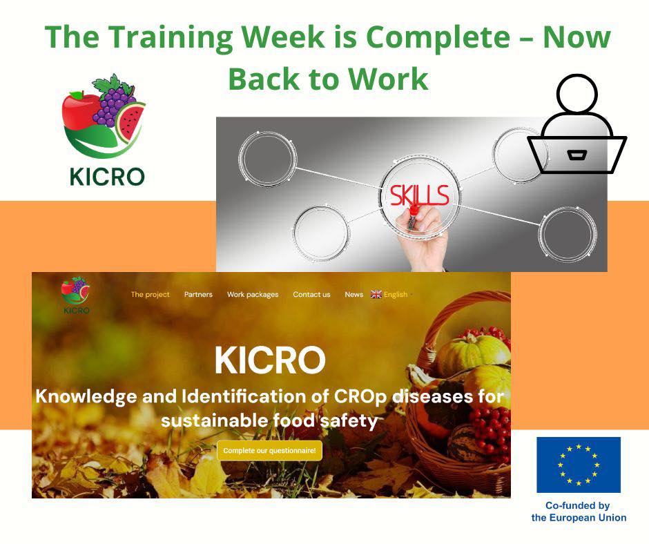 The Training Week is Complete – Now Back to Work